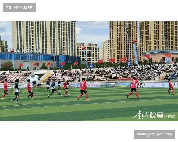 海东河湟队赛季零胜深陷保级危机 战术调整成逆袭希望 海东河湟队赛季零胜深陷保级危机 战术调整成逆袭希望