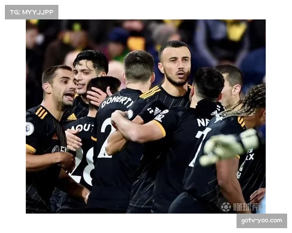 从诺维奇到伯恩利：乔什-萨金特的英超流浪与坚守